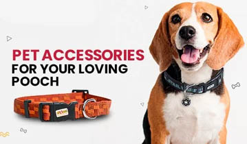 Dog best sale accessories online